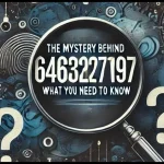 Unveiling the Mystery of 6463276197: Caller ID, Privacy, and Safety