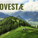 Ovestæ: Tradition and innovation combined