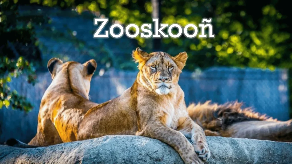 Zooskooñ: Preserving Cultural Heritage Through Language