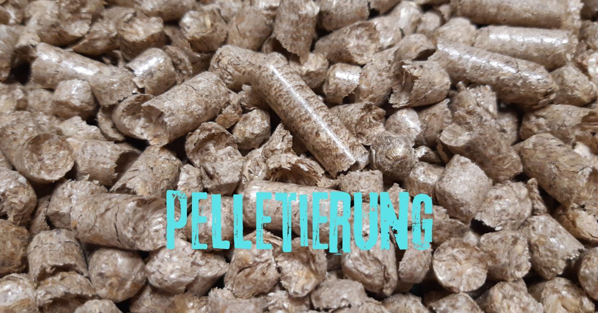 The Comprehensive Guide to Pelletierung: Revolutionizing Material Processing